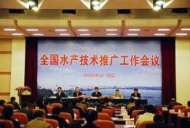 贵州农业科技信息网 科技赋能农业，技术推广助力乡村振兴