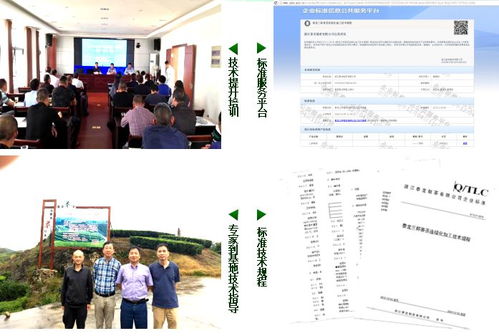 三杯香茶连续化加工技术示范与推广项目获好评，为茶产业现代化注入新动力